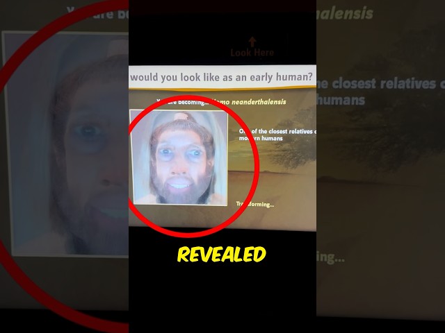 #jaidmeel