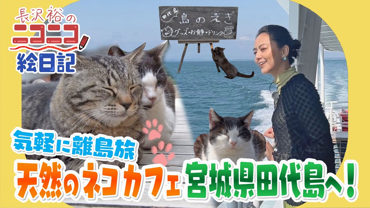 長沢裕のニコニコ絵日記】気軽に離島旅 天然のネコカフェ宮城県田代島