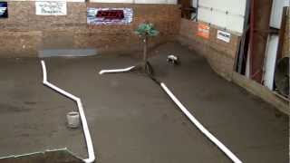 Racing at Mike&#39;s RC World, Traxxas Rustler
