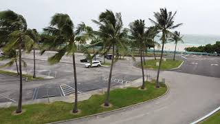 Drone Test in Wind at Haulover Park