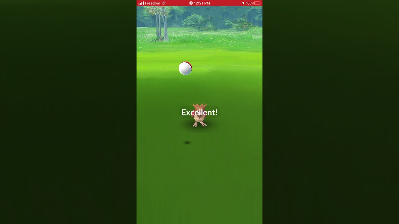 Completing the Go Fest Elite Skill Challenge