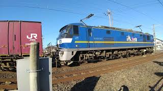 EF210牽引貨物列車(下り)上地新道踏切通過