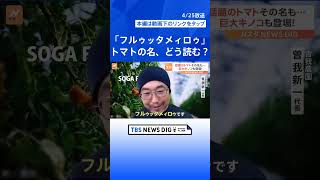 SNSで話題のフルーツトマト　その名も「フルゥッタメィロゥ」一体どう読むの？｜TBS NEWS DIG #shorts
