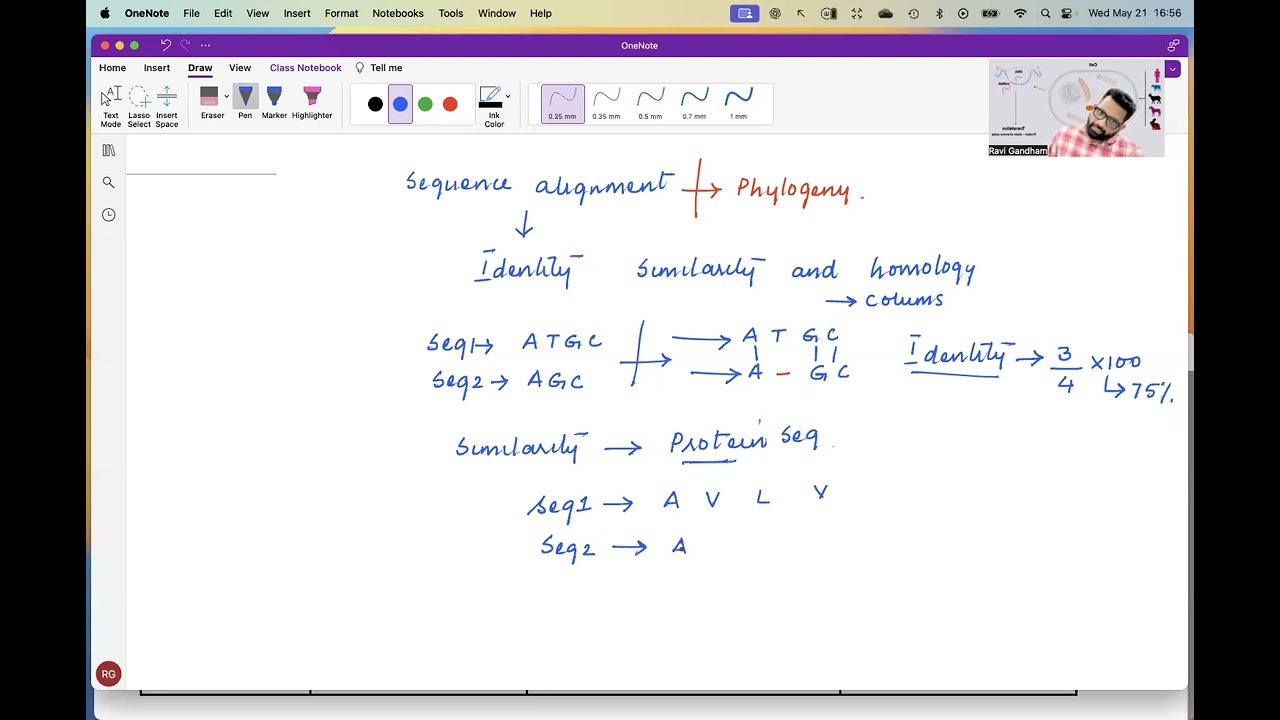 Identity vs Similarity vs Homology
