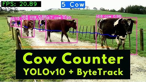 Cow Counter (Cow Detection and Tracking using YOLOv10 + ByteTrack)