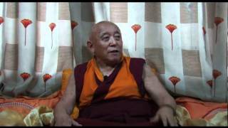 Denma Locho Rinpoche_(hung)