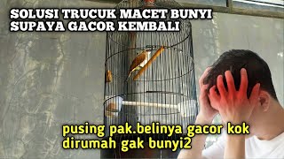 Bought a gacor Trucuk but when it got home it didn't make a sound ⁉️ Here's how to fix it