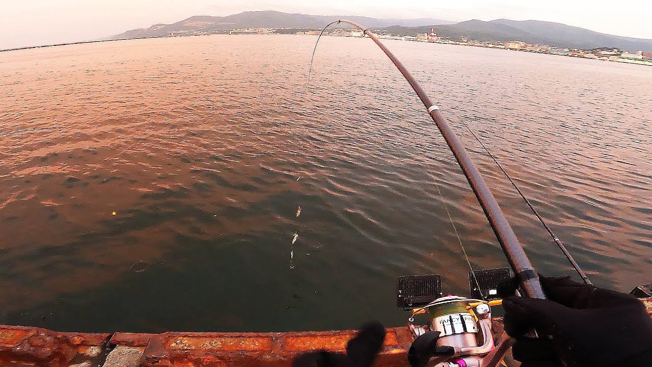 【北海道石狩湾・小樽釣り】小樽港もかなり混んでます!!　2025..6.22　北国の生活（小樽港厩町岸壁、夜釣り、自動シャクリ機、投光器、エギ、スッテ）