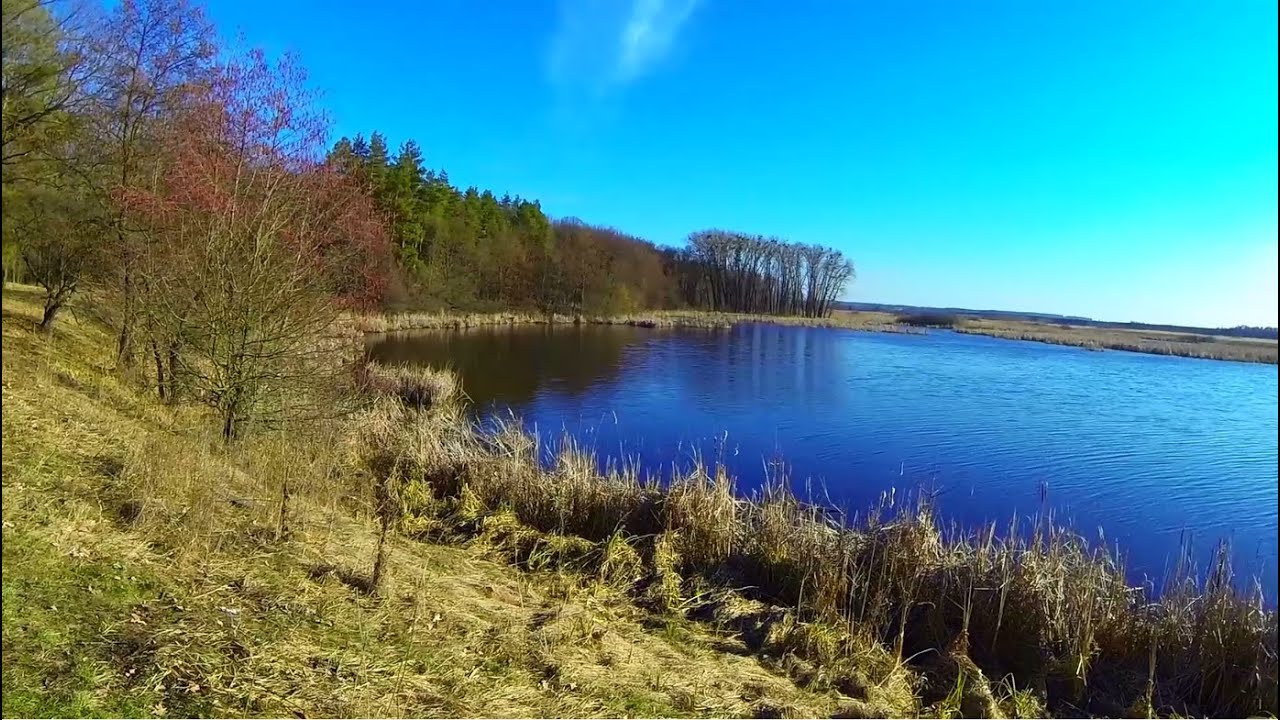 Весенняя ловля карася на реке удочкой с боковым кивком(16.03.2015)