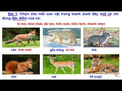 LTVC lớp 2 : Từ ngữ về loài thú . Dấu chấm , dấu phẩy .