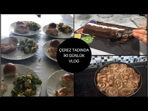 GELİN GİRDİ OCAĞA, OCAK İNDİ AŞAĞIYA | ANNEMİN MİSAFİR MENÜSÜ |TEYZEME SÜRPRİZ | İKİ GÜNLÜK VLOG