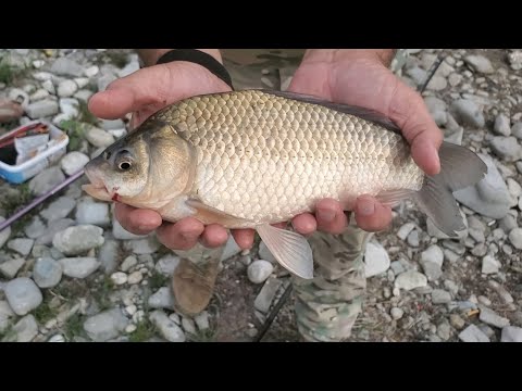 თევზაობა ბაზალეთის ტბაზე მეგობრებთან ერთად. 2023