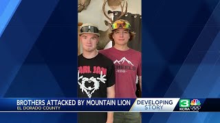California mountain lion attack | Brothers identified