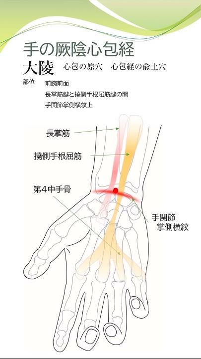 手の厥陰心包経 大陵 short YouTube