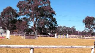 Lantief and I showjump the 1 m course at Oakville Equestrian Centre's June Comp