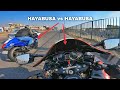 HAYABUSA vs HAYABUSA RACE🤭🚦 What Happened ??