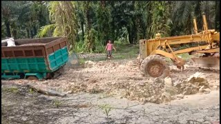 Palm Tractor in Heavy Offroad Working in Muddy Road