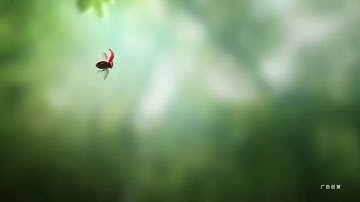 Huawei Matebook X - Ultra Thin Matebook - Official Commercial Video HD | Huawei