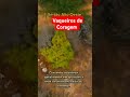 É só quem tem coragem #shorts