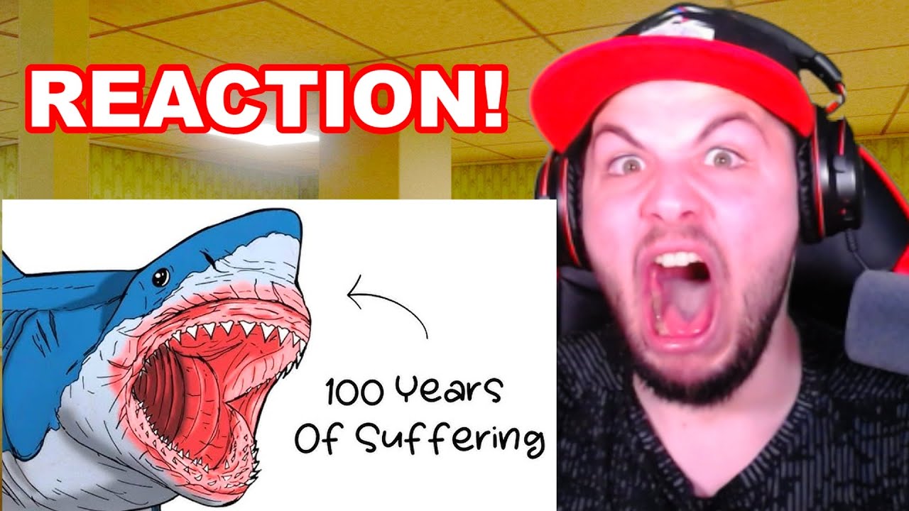 Почему отстойно родиться мегалодоном РЕАКЦИЯ!