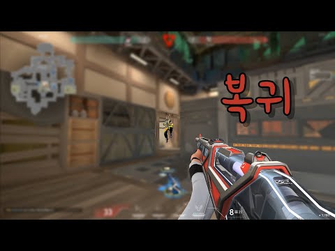 점보치킨 하이라이트104
