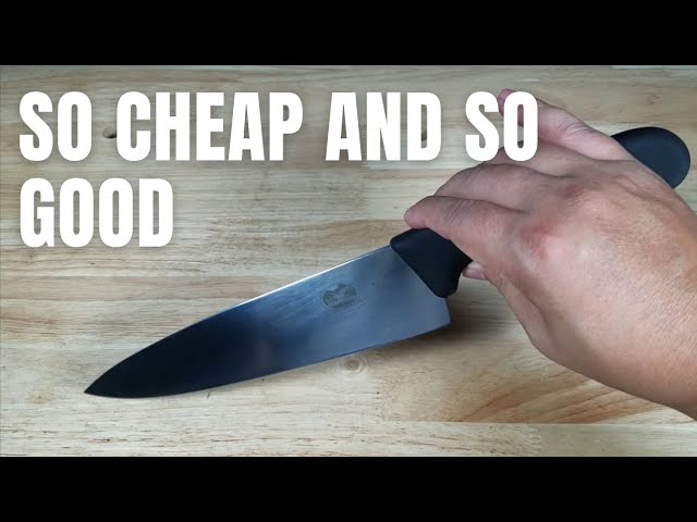 HowToBBQRight Victorinox 8 Chef's Knife