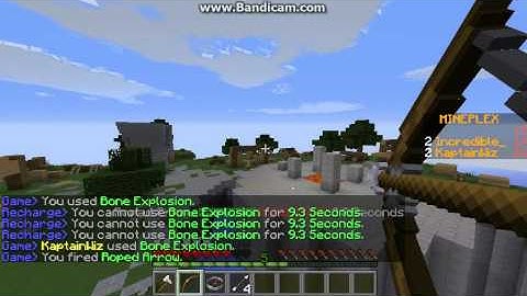 Hacker in Super Smash Mobs