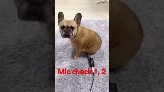 Mic check 1, 2. Testing!