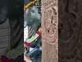 Nandi Bhagavan Whatsapp StatusЁЯЩПЁЯФетЭдЁЯжЪ Nandi Nandi Bhagavan Whatsapp StatusЁЯЩПЁЯФетЭдЁЯжЪ Nandi