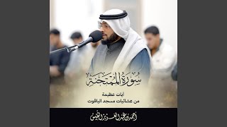 سورة الممتحنة تلاوة جديدة