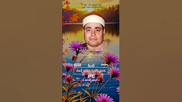 افلا يتدبرون القرآن شعبان الصياد 
