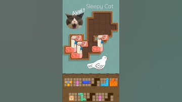 Puzzle Cats - Gameplay Walkchrough (iOS & Android) #1hour #funny #games #shorts #trending