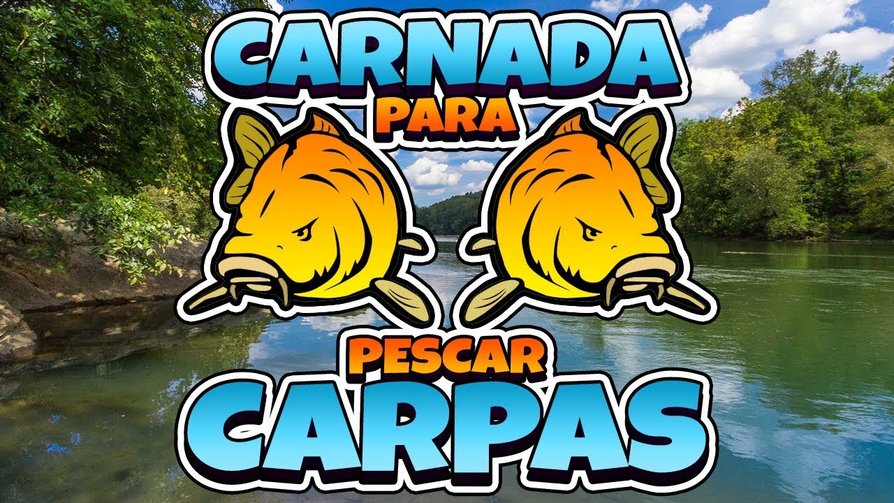 Carnada de masa para pescar carpas (Fácil y rápida) 