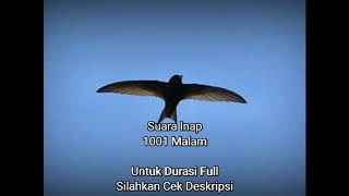 1001 Malam (SI)