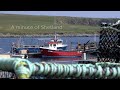 A Minute In Shetland - At The Marina