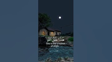 قرآن الكريم - هذا خلق الله - تلاوة من سورة لقمان - قارئ شريف مصطفى