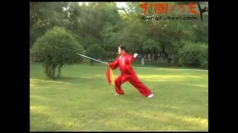 learning basic tai chi--wu style tai chi dao 13 form practice video