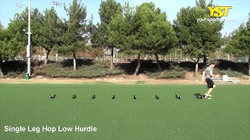 Single Leg Hop Low Hurdle