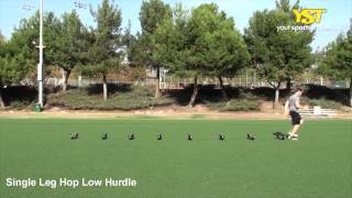 Single Leg Hop Low Hurdle