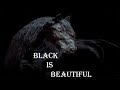 Black is Beautiful EP115