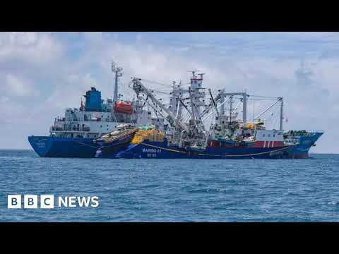 Тунцовая ловушка: как изменение климата угрожает экономическому выживанию Кирибати