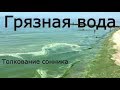 Грязная вода - толкование сонника