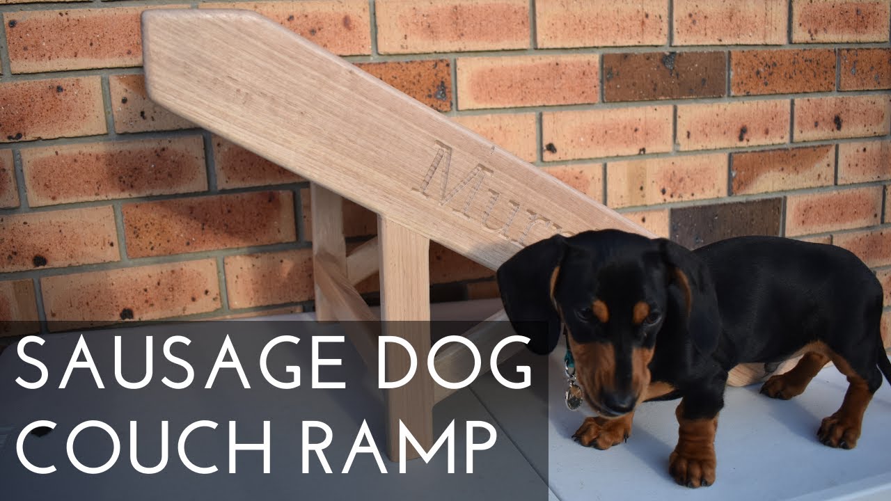 ramps for sausage dogs
