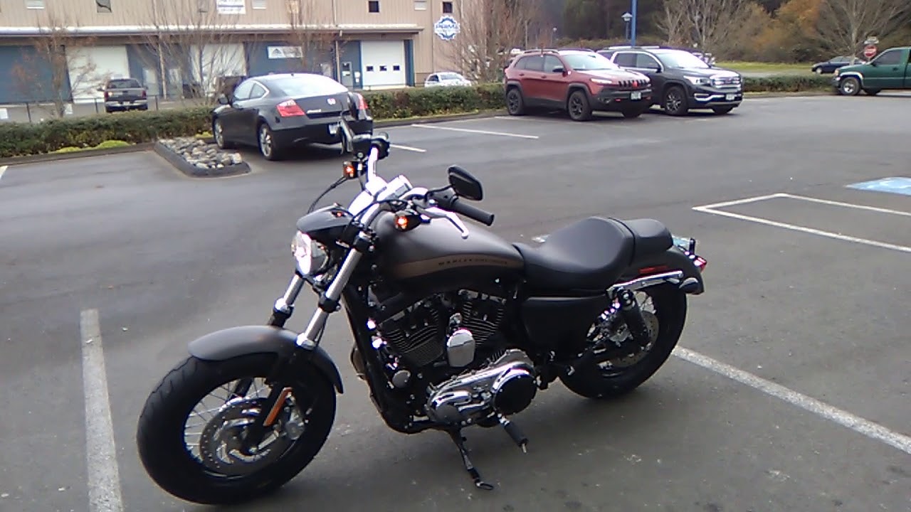  2019 Harley Davidson XL1200C 1200 Custom YouTube
