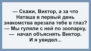 Сборник Самых Смешных Анекдотов Для Настроения! Мы Гуляли С Ней По Зоопарку ...!