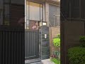 Electric fence installation #shorts #homeautomation #viral
