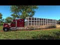 Kenworth W990 | SLP | Transportando Cerdos de El Naranjo a Matehuala