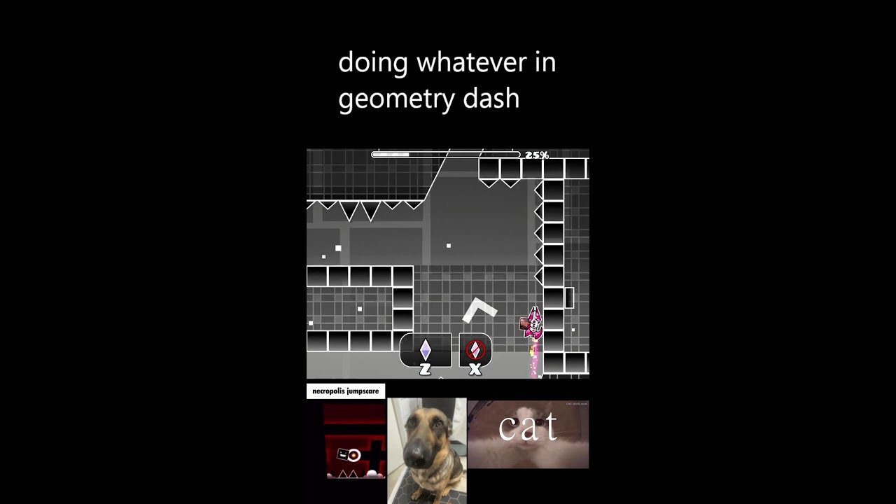 DOING WHATEVER IN GEOMETRY DASH