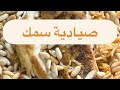 صيادية السمك مع رز صياديه صياديه السمك سمك