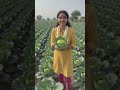The Unsung Heroes: Why Farmers Deserve More Respect 🌾